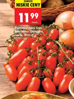 Biedronka Pomidor mini San Marzano, gałązka oferta