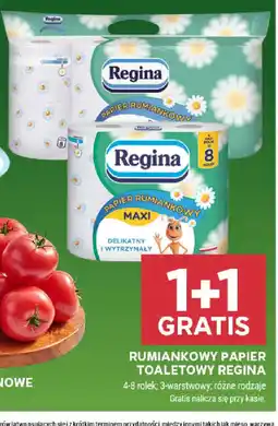 Stokrotka Papier Rumiankowy Toaletowy Regina oferta