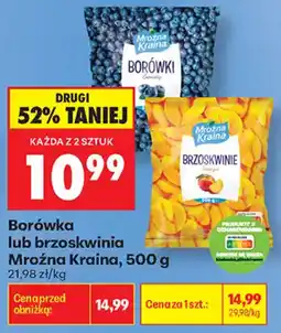 Biedronka Borówka lub brzoskwinia Mroźna Kraina oferta
