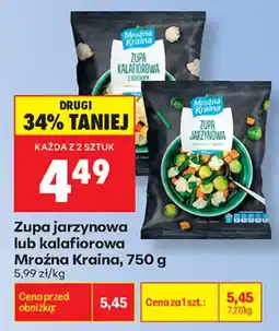 Biedronka Zupa jarzynowa lub kalafiorowa Mroźna Kraina oferta