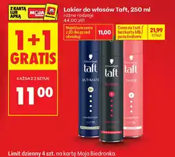 Biedronka Lakier do włosów Taft oferta