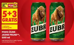 Biedronka Piwo Żubr Jasne Pełne oferta