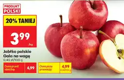 Biedronka Jabłko polskie Gala oferta