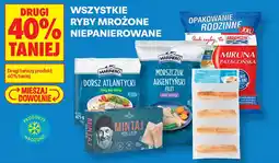 Biedronka Morszczuk Argentyński Filet bez skóry oferta