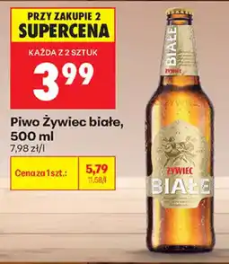 Biedronka Piwo Żywiec białe oferta