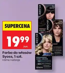 Biedronka Farba do włosów Syoss oferta