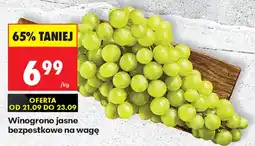 Biedronka Winogrono jasne bezpestkowe oferta