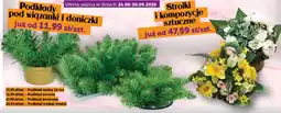 Topaz Express Podkłady pod wiązanki i doniczki oferta