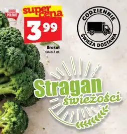 Topaz Express Brokuł oferta