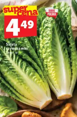 Topaz Express Salata rzymska mini oferta