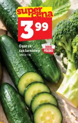 Topaz Express Ogórek szklarniowy oferta