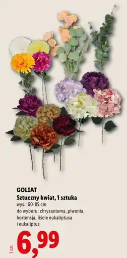 Lidl GOLIAT Sztuczny kwiat oferta