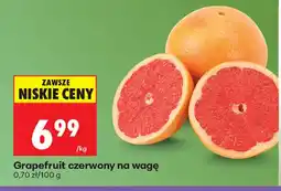 Biedronka Grapefruit czerwony oferta