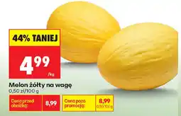 Biedronka Melon żółty oferta