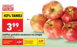 Biedronka Jabłko polskie wczesne oferta
