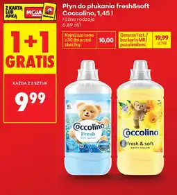 Biedronka Płyn do płukania Coccolino oferta
