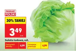 Biedronka Sałata lodowa oferta
