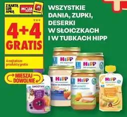 Biedronka Wszystkie dania, zupki, deserki w sloiczkach i w tubkach hipp oferta