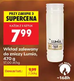 Biedronka Wkład zalewany do zniczy Lumia oferta