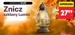 Biedronka Znicz szklany Lumia oferta