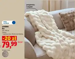 Lidl Koc LIVARNO oferta