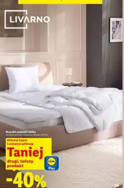 Lidl Poduszki i kołdry Livarno oferta