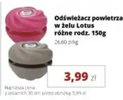 Torimpex Odświeżacz powietrza w żelu Lotus oferta
