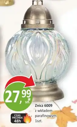 Passa Znicz 6009 oferta