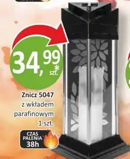 Passa Znicz 5047 oferta