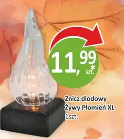 Passa Znicz diodowy Żywy Płomień XL oferta