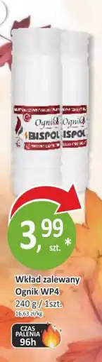 Passa Wkład zalewany Ognik WP4 oferta