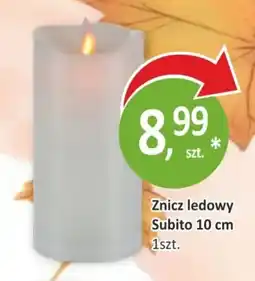 Passa Znicz ledowy Subito oferta