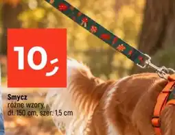 Dealz Smycz oferta