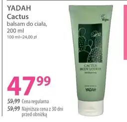 Hebe YADAH Cactus balsam do ciała oferta