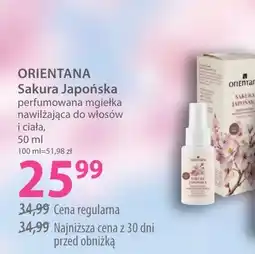Hebe Orientana Sakura Japońska oferta