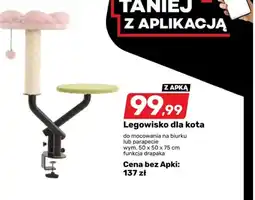 Bricomarche Legowisko dla kota oferta