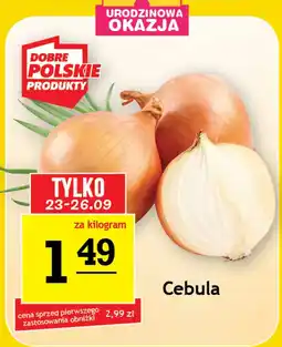 Gram Market Cebula A to dobre! oferta