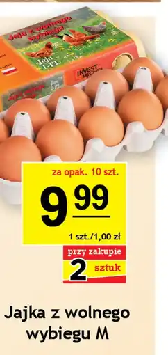 Gram Market Jajka oferta
