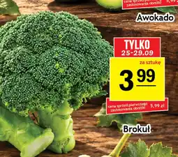 Gram Market Brokuł oferta
