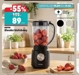 Biedronka Blender kielichowy Hoffen oferta