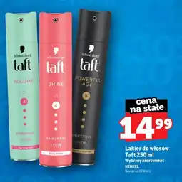 Topaz Lakier do włosów Taft Volume oferta