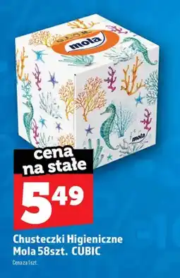 Topaz Chusteczki higieniczne Mola Cubic oferta