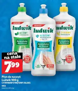 Topaz Płyn do naczyń Ludwik cytrynowy oferta