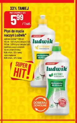 Polomarket Płyn do mycia naczyń Ludwik cytrynowy oferta