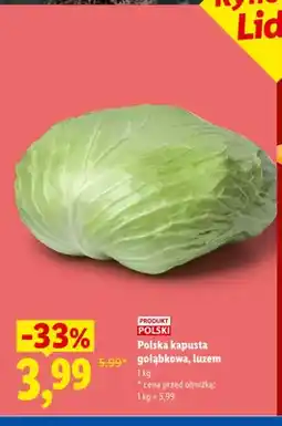 Lidl Kapusta gołąbkowa luzem oferta