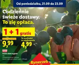 Lidl Śliwki węgierki polskie Ryneczek Lidla oferta