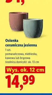 Lidl Osłonka ceramiczna jesienna pomarańczowa oferta