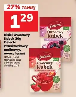 Hitpol Kisiel Owocowy Kubek malinowy Delecta oferta