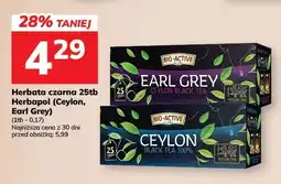 Hitpol Herbata czarna Ceylon Big-Active oferta
