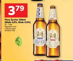 Hitpol Piwo Żywiec Białe 4,9% oferta